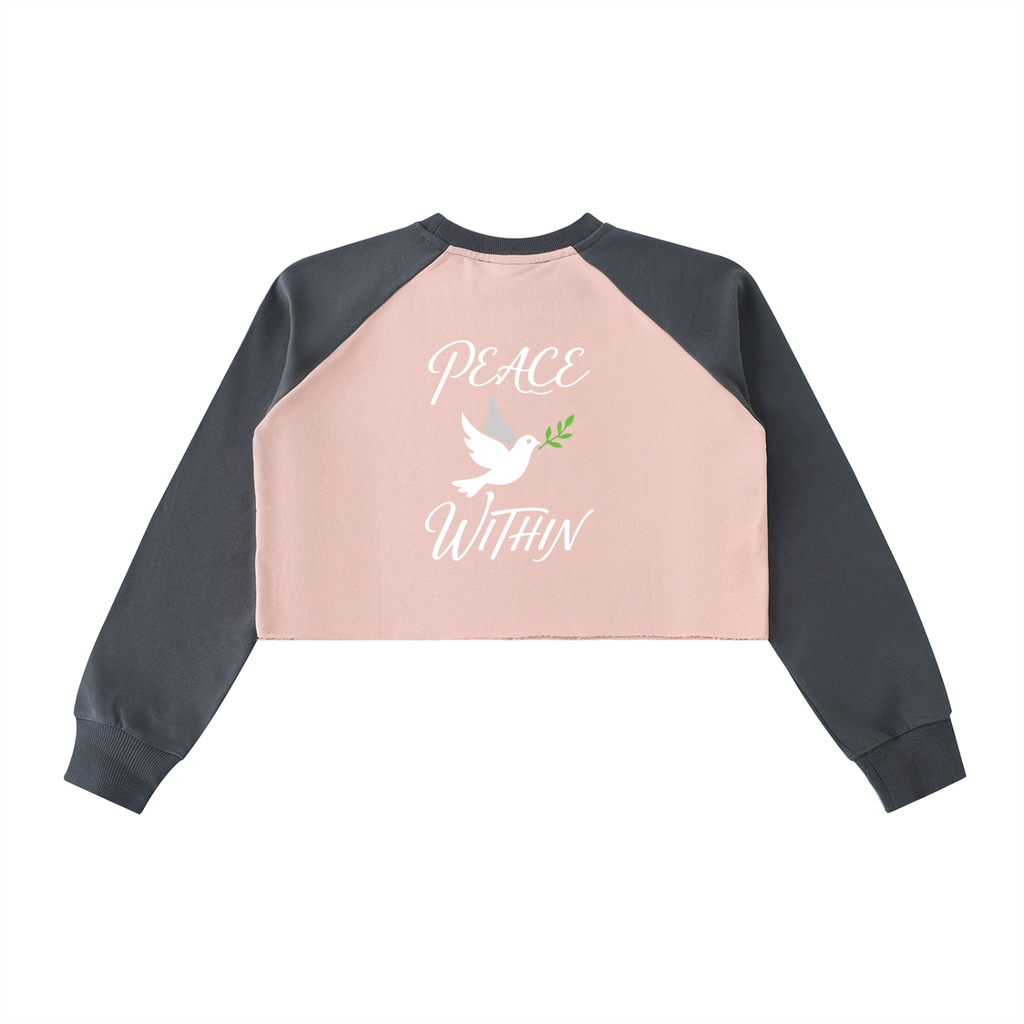 Raw-Hem Color-Block Raglan Crop Sweatshirt