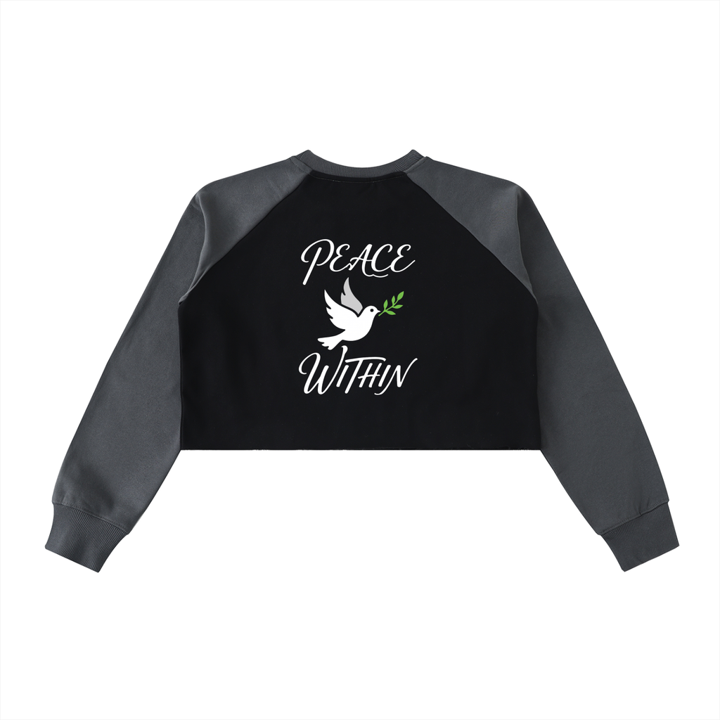 Raw-Hem Color-Block Raglan Crop Sweatshirt