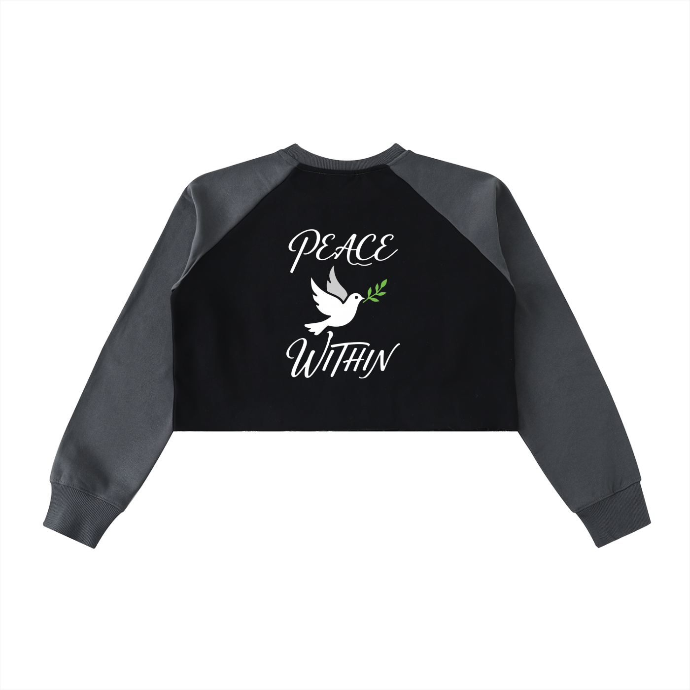 Raw-Hem Color-Block Raglan Crop Sweatshirt