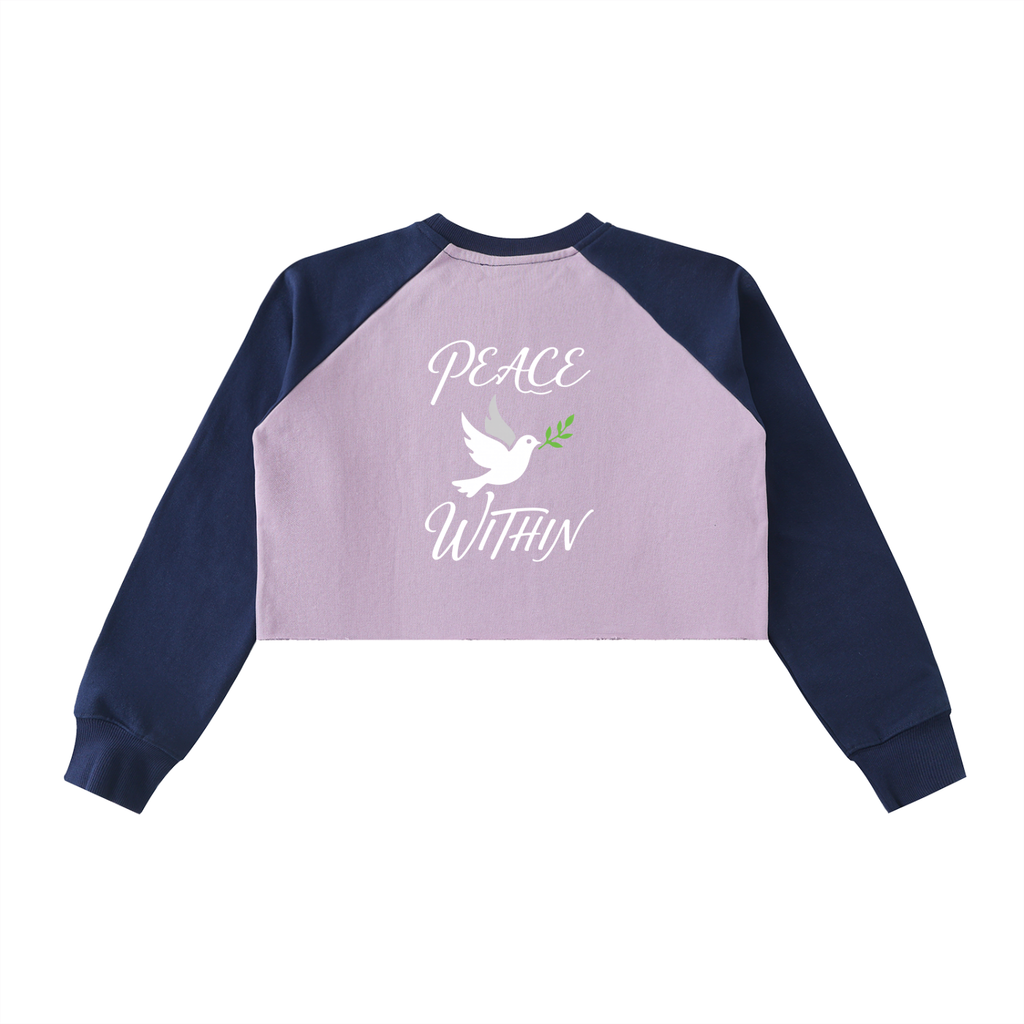 Raw-Hem Color-Block Raglan Crop Sweatshirt