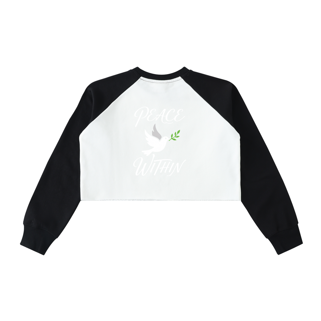 Raw-Hem Color-Block Raglan Crop Sweatshirt