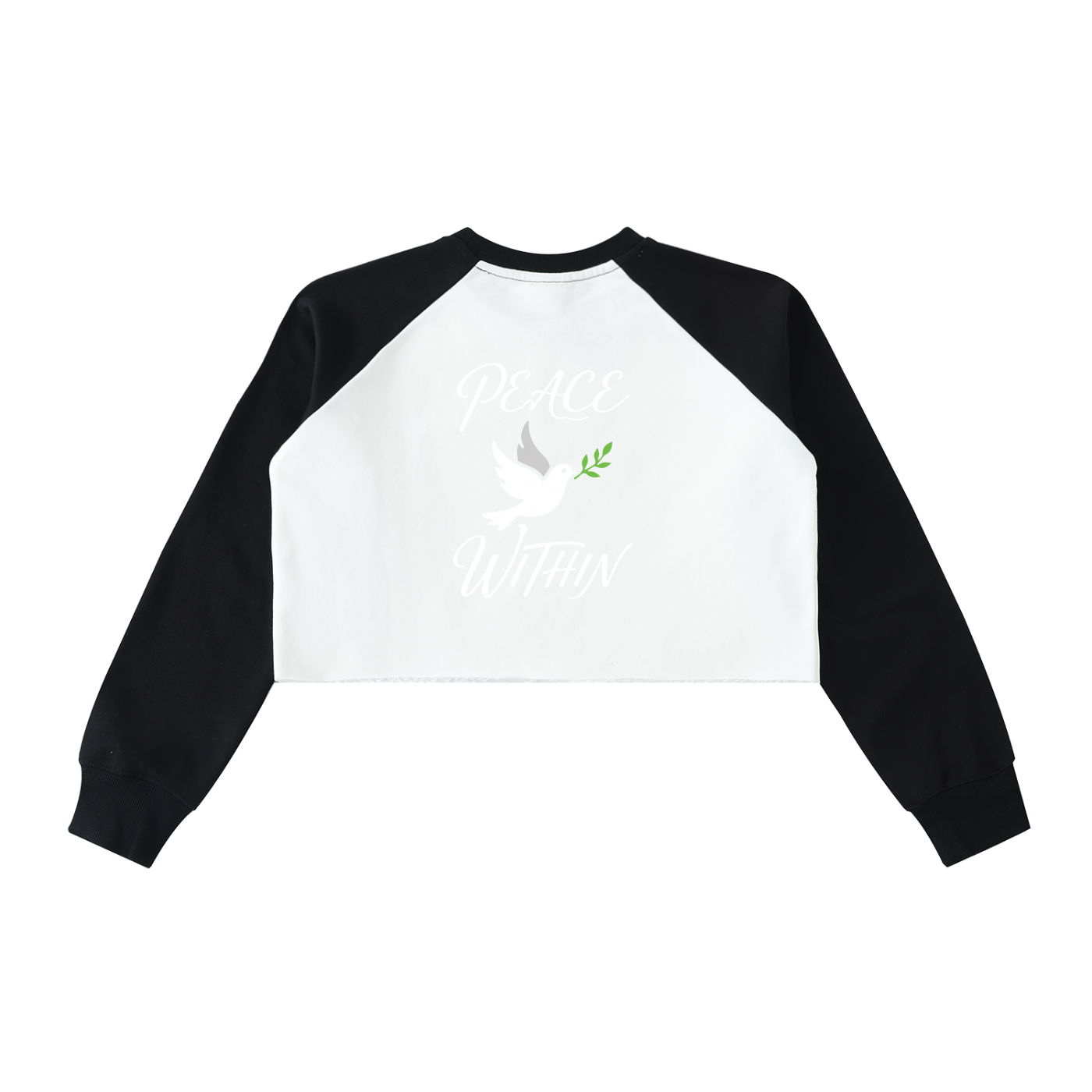 Raw-Hem Color-Block Raglan Crop Sweatshirt